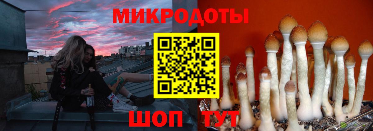 Галлюциногенные грибы GOLDEN TEACHER Дзержинский